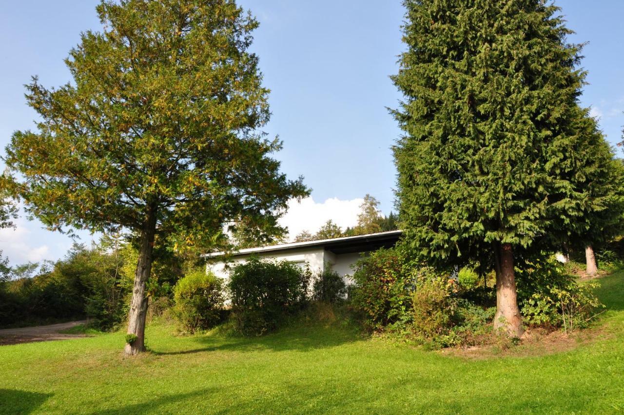Feriendorf Am Hundsrueck Floh Exteriör bild